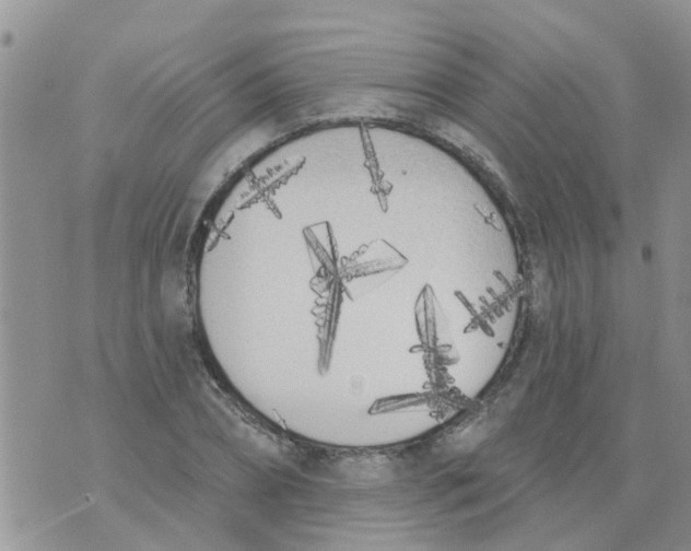 X0000073930882200609082300