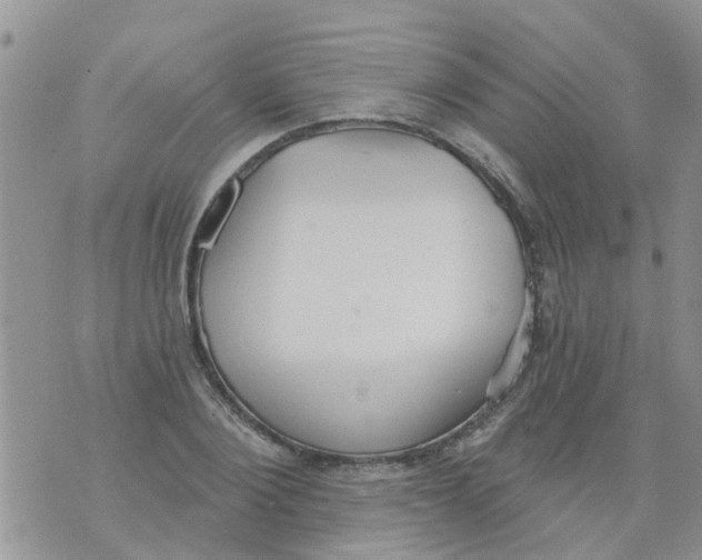 X0000073930884200609082300