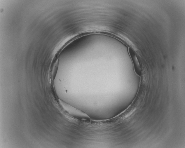 X0000073930885200609082300