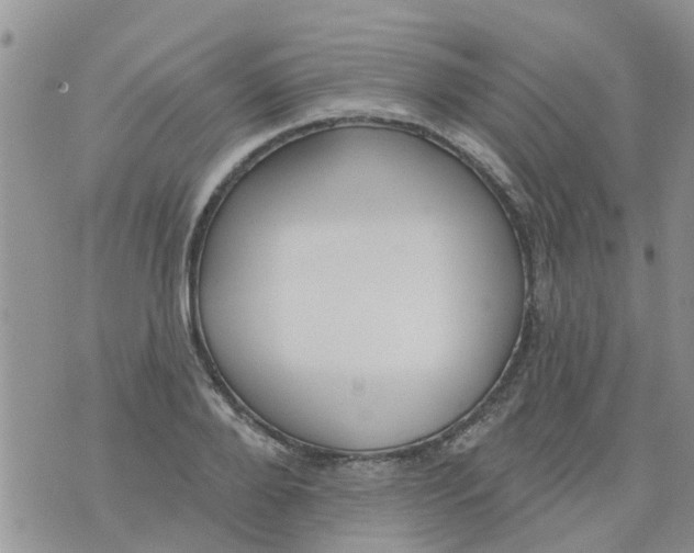 X0000073930888200609082300