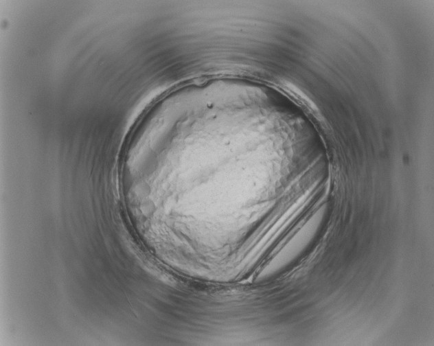 X0000073930891200609082300