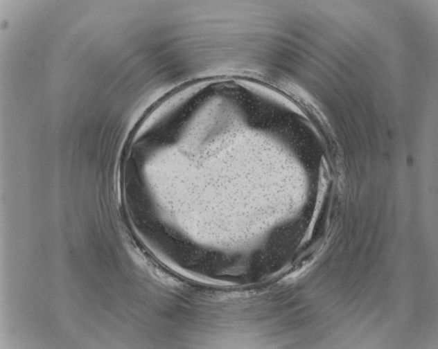 X0000073930892200609082300