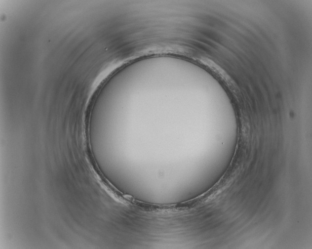 X0000073930894200609082300