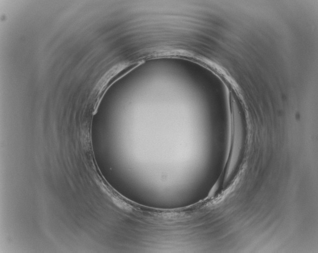 X0000073930897200609082300