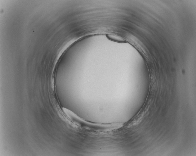 X0000073930900200609082300