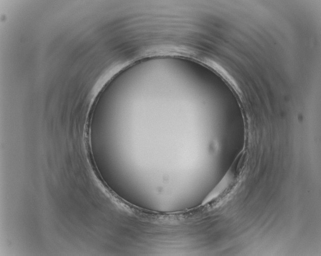 X0000073930901200609082300