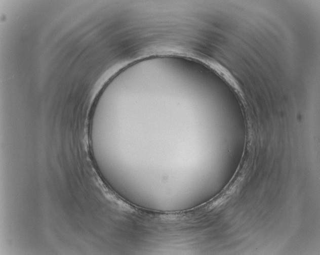 X0000073930904200609082300