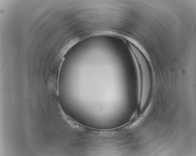 X0000073930905200609082300