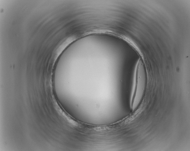 X0000073930906200609082300