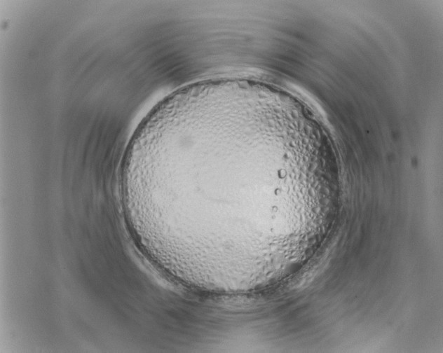 X0000073930907200609082300