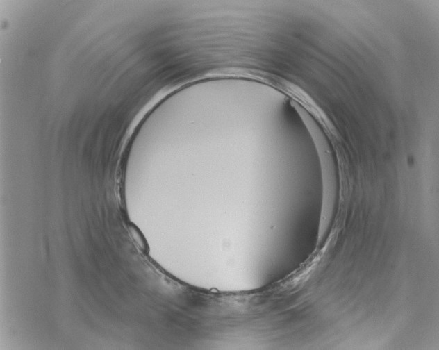 X0000073930908200609082300