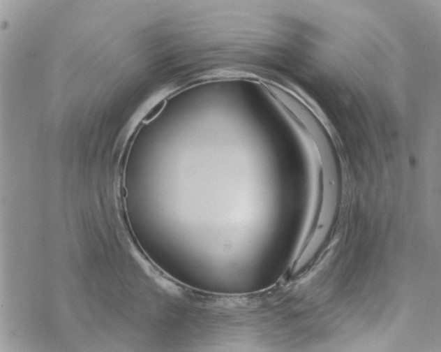 X0000073930909200609082300