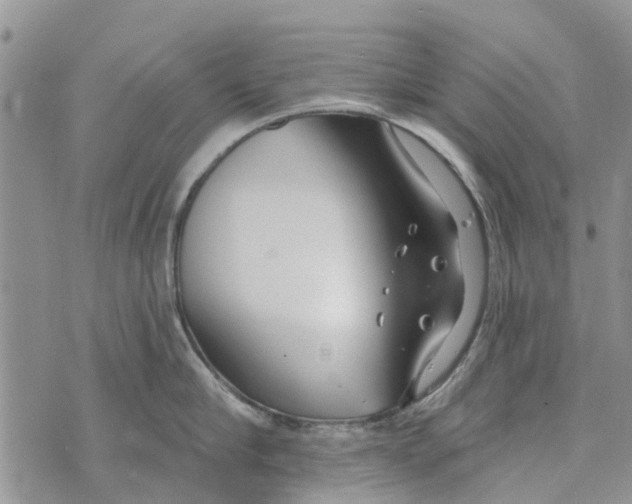 X0000073930910200609082300