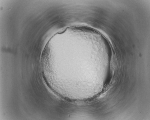 X0000073930911200609082300