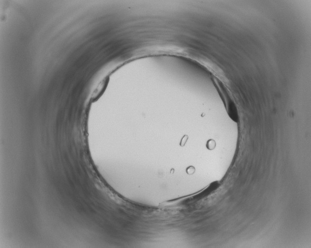 X0000073930912200609082300