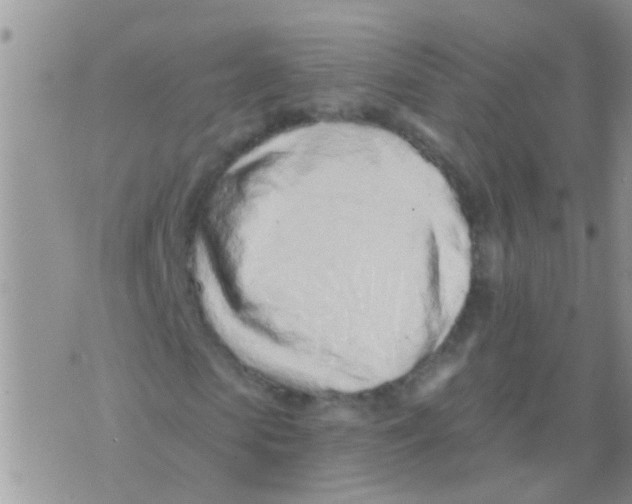 X0000073930913200609082259