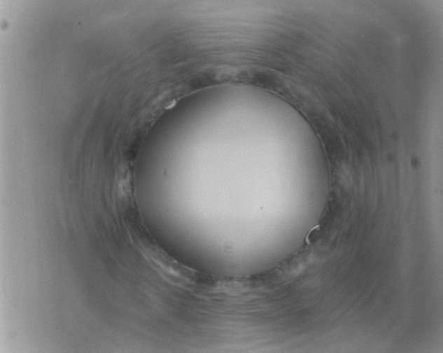 X0000073930914200609082259