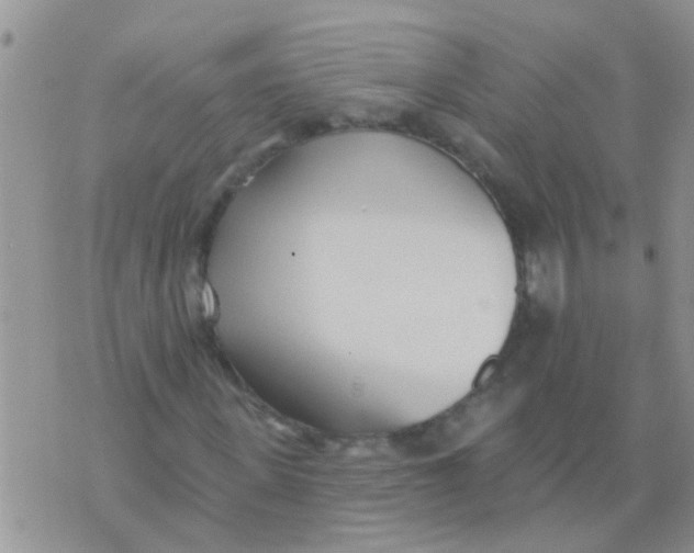 X0000073930915200609082259