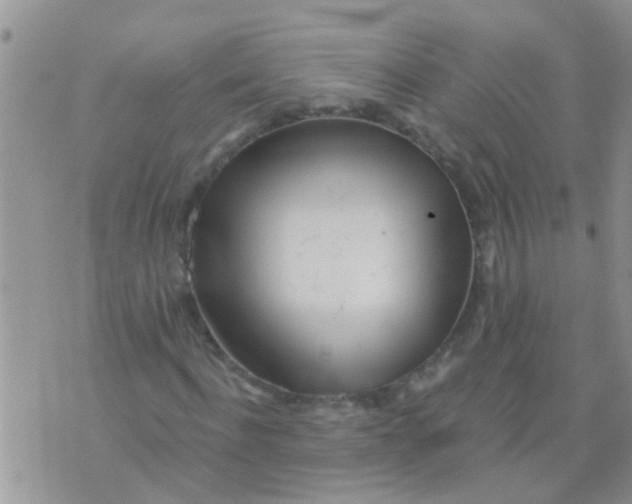 X0000073930916200609082259