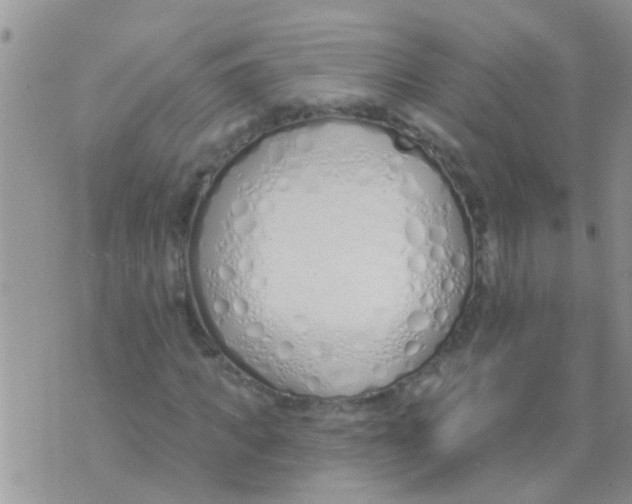 X0000073930917200609082259