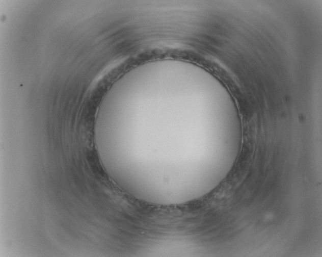 X0000073930919200609082259