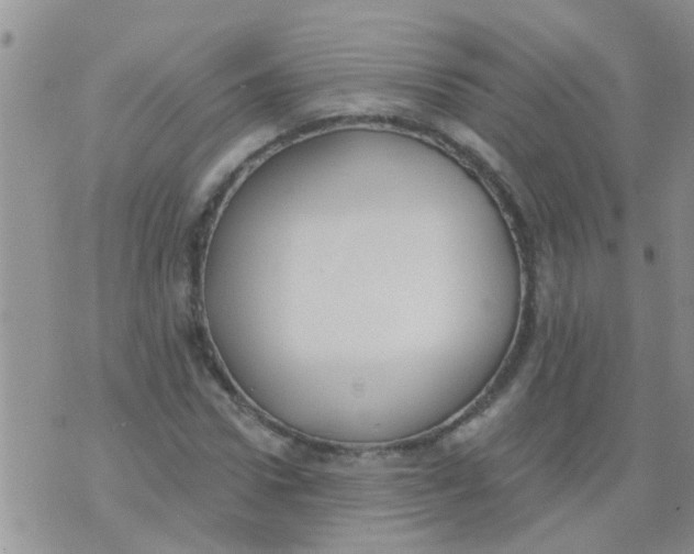 X0000073930922200609082259