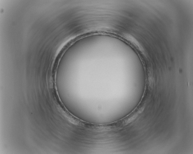 X0000073930924200609082259