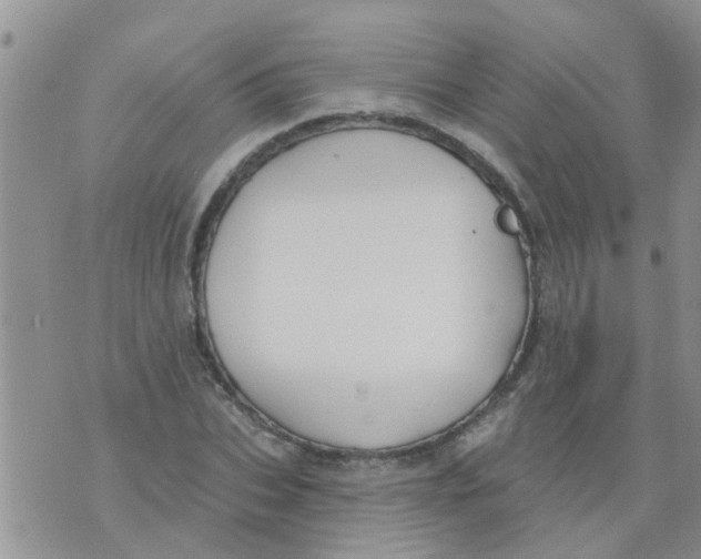 X0000073930927200609082259