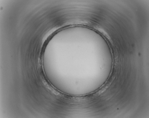 X0000073930928200609082259