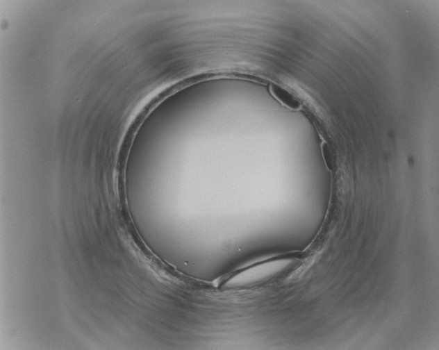 X0000073930932200609082259