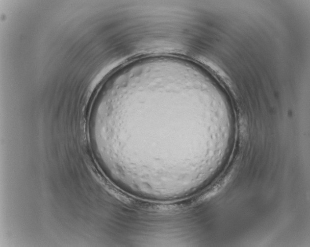 X0000073930933200609082259