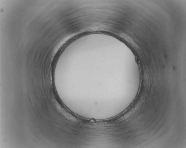 X0000073930934200609082259