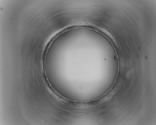 X0000073930935200609082259