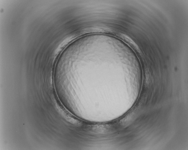 X0000073930938200609082259