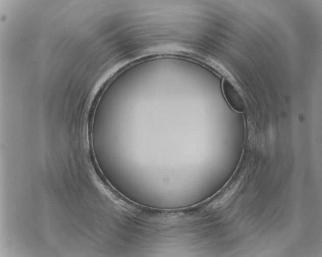 X0000073930939200609082259