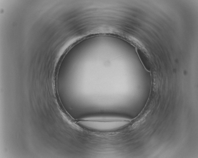 X0000073930942200609082259