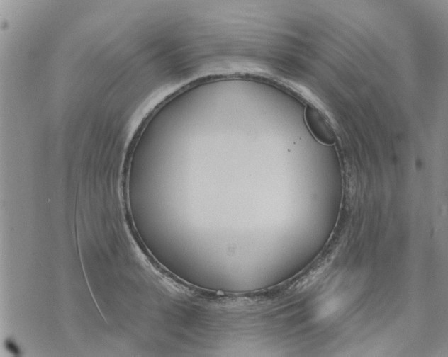 X0000073930943200609082259