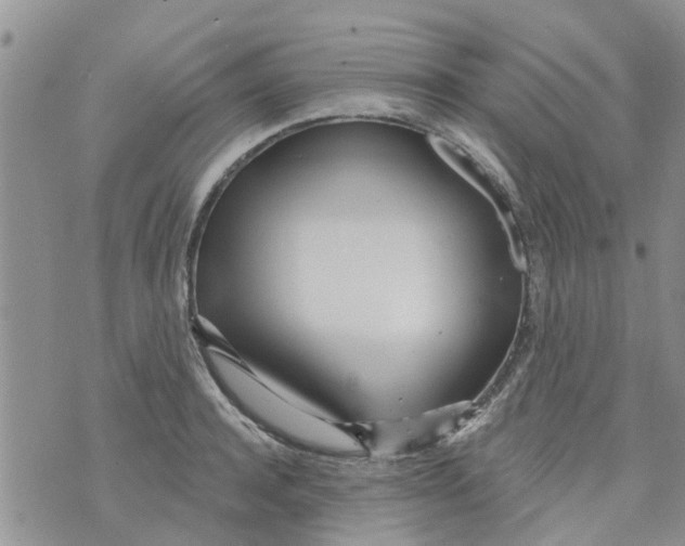 X0000073930944200609082259