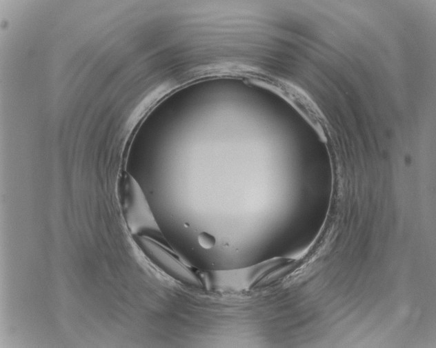 X0000073930946200609082259