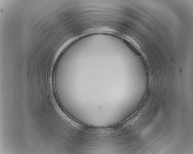 X0000073930947200609082259