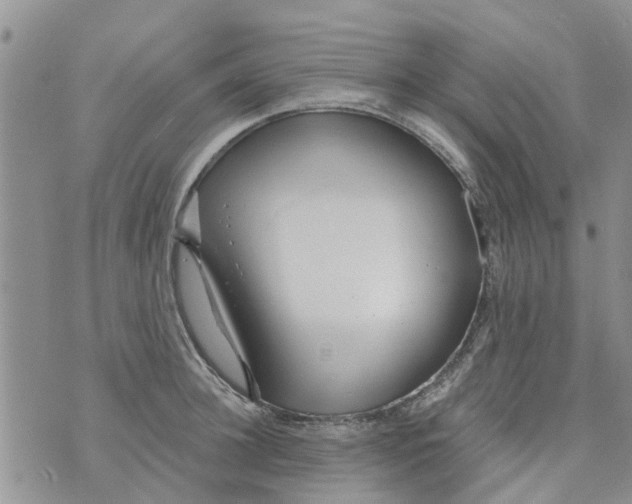 X0000073930948200609082259