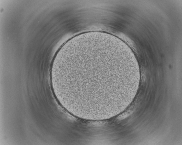 X0000073930950200609082259