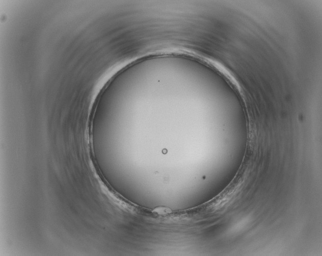 X0000073930951200609082259