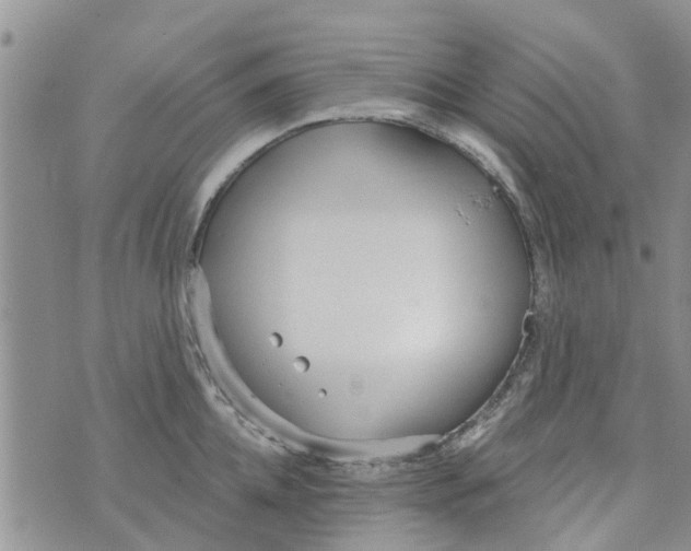 X0000073930952200609082259