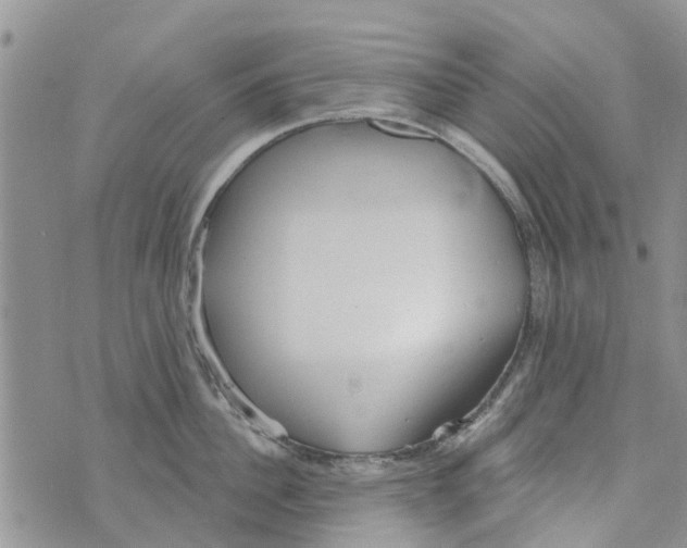 X0000073930956200609082259