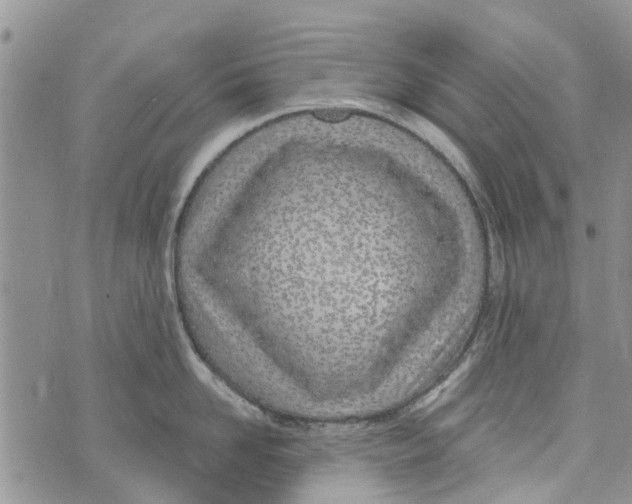 X0000073930958200609082259