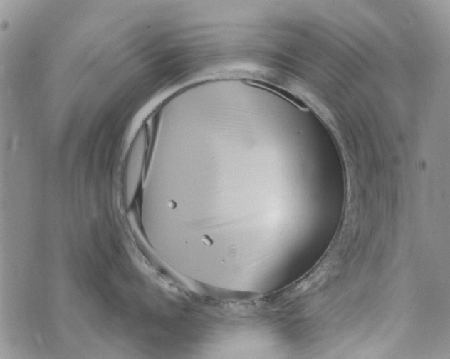 X0000073930960200609082259