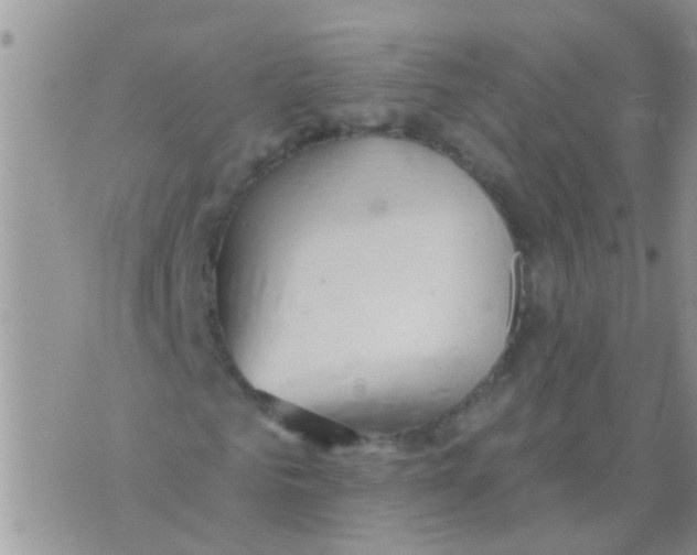 X0000073930961200609082259