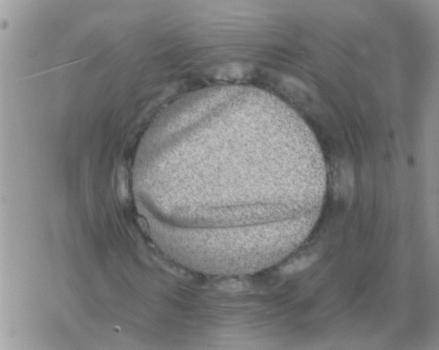 X0000073930962200609082259