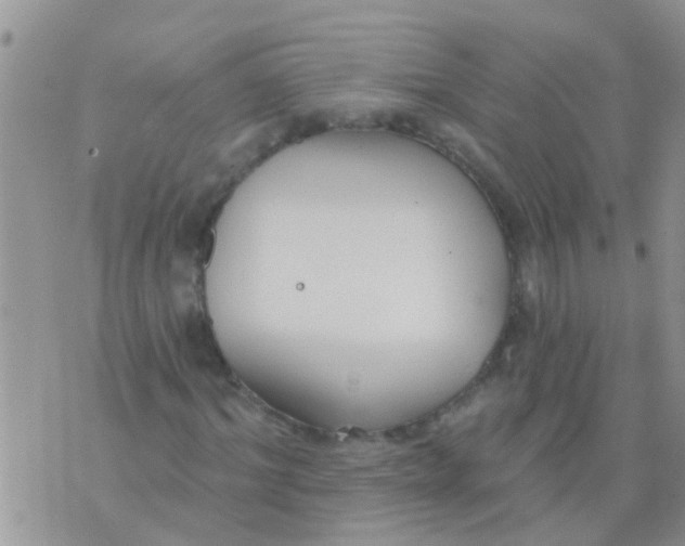 X0000073930964200609082259